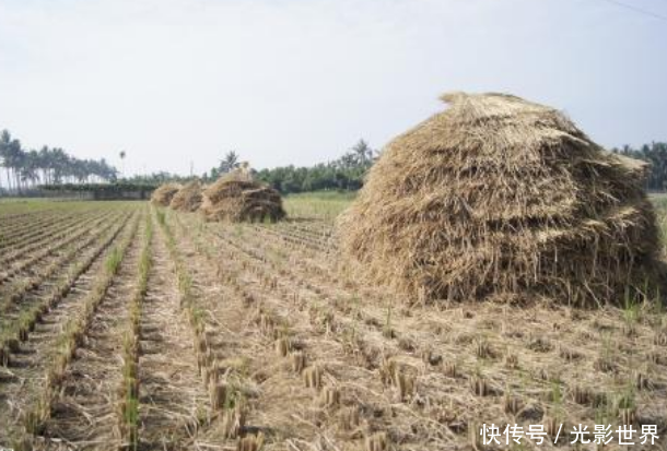 男子不慎被蜈蚣咬到脚趾,盲目用口水涂擦伤口