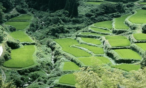 休闲农业策划专家教你确定养生养老休闲农业产