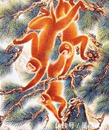 18年容易中奖发财,这4个生肖运势大好,钱财如