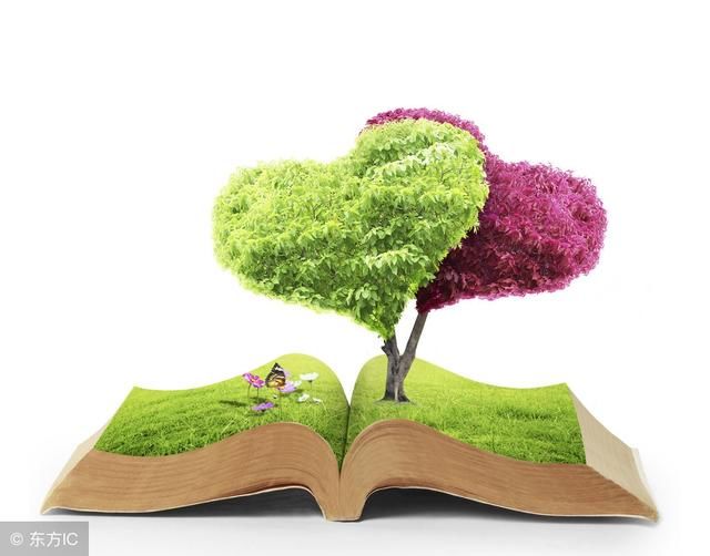 暴利创业新型项目:国外刚流入国内的项目,