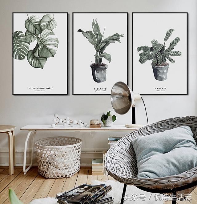 植物挂画,扑面清新北欧风