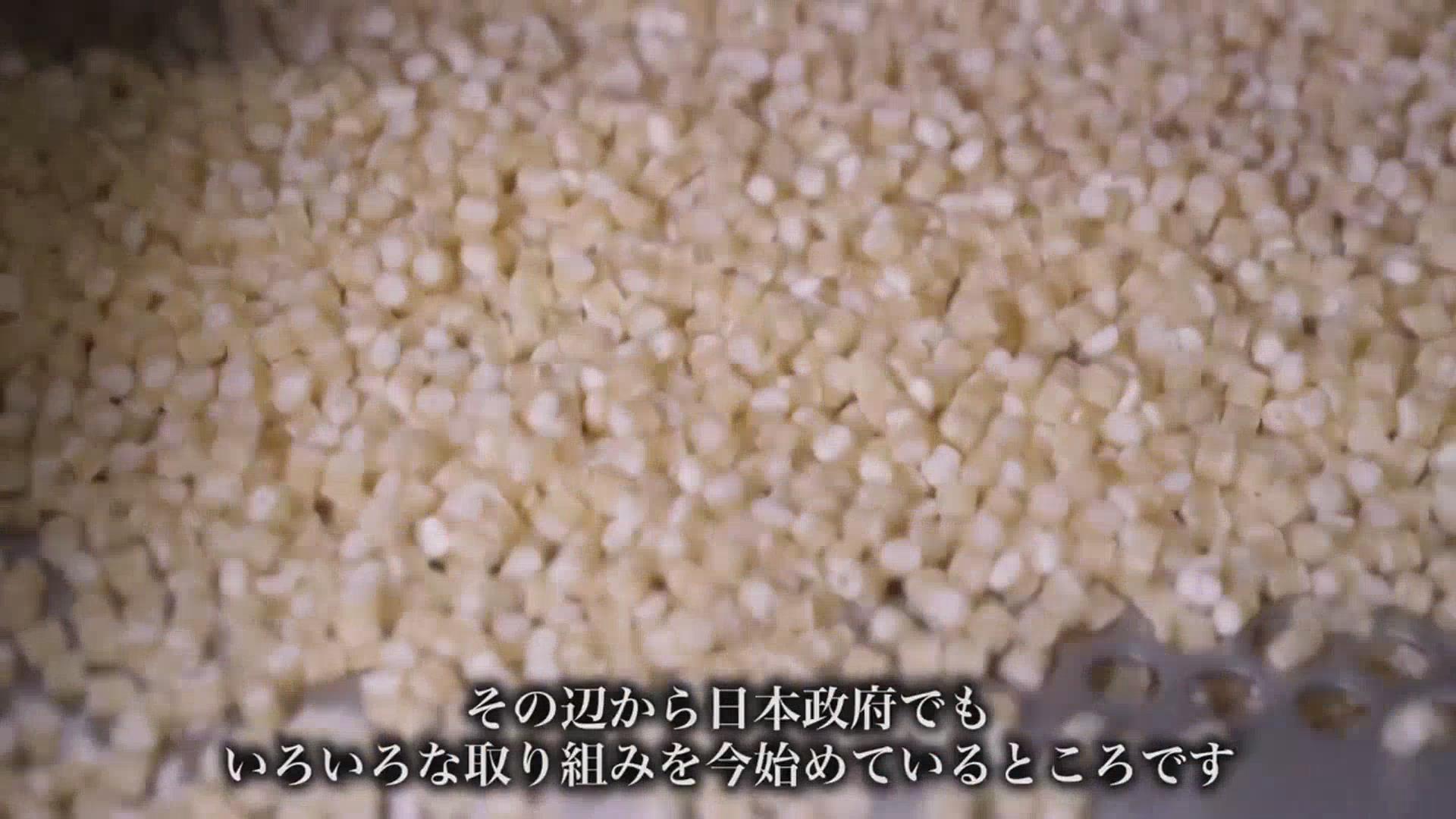 科技创新 日本福岛滞销大米“变身”生物塑料 科技创新 日本福岛滞销大米“变身”生物塑料