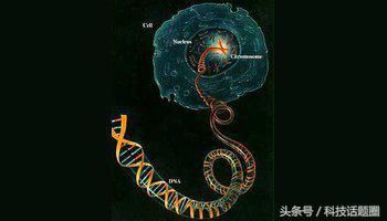 这种基因能让生物情愿被奴役!