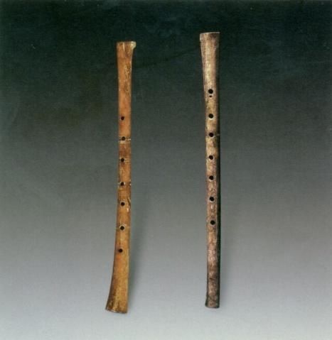 河南一老师发现长1.6米头骨,专家鉴定是七八千