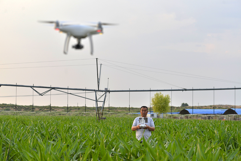 无人机替代传统牧羊人 大数据引领现代畜牧业 鄂尔多斯 无人机替代传统牧羊人 大数据引领现代畜牧业 鄂尔多斯
