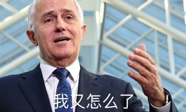 澳洲总理欲5月访华却惨遭拒签?八大校长们的