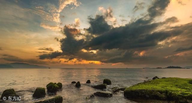 去越南这个国家,到芽庄河内这些城市一周的花