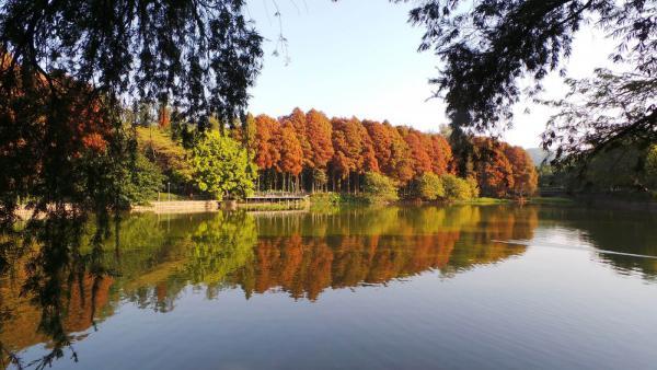 麓湖公園