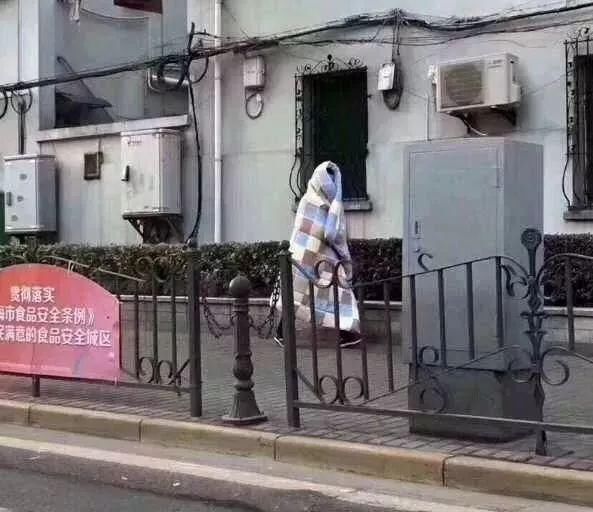 上海天气又作妖!升温下雨降温,春节成功泡汤