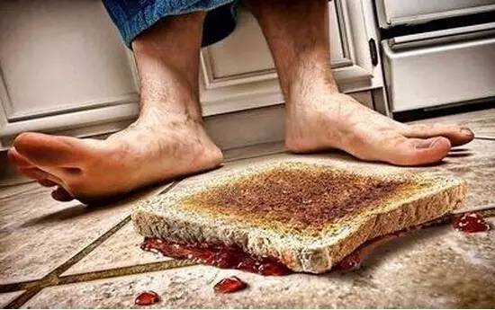 食物掉地上了，“五秒定律”到底有没有用