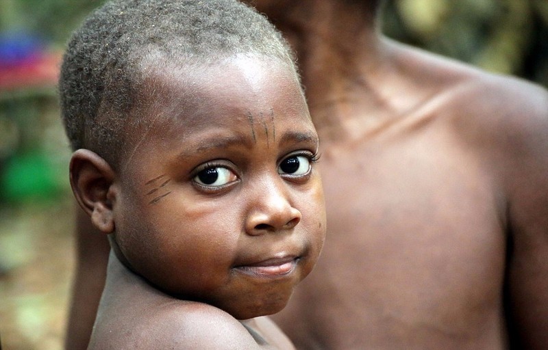 非洲巴卡族人图片