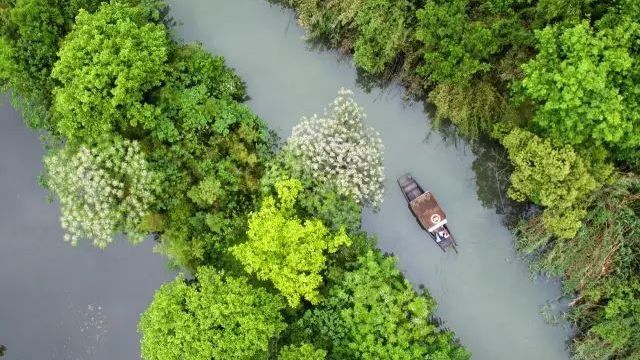 秋游享受北京最大”绿肺“的野趣和多彩，这个公园免费！