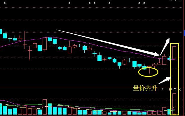生物制药最强龙头股曝光,底部吸筹2年终现金叉
