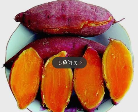 简单一招,红薯产量翻倍增