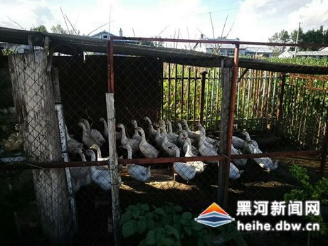 工作队带领贫困户发展庭院经济