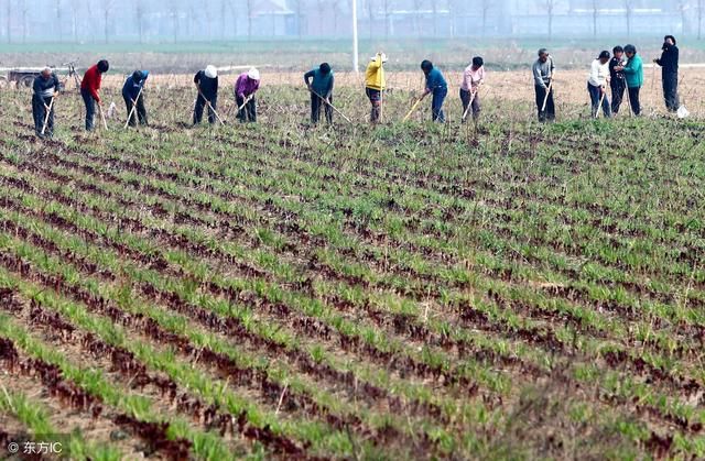 未来十年,农民手里的土地最终会落到谁的手里