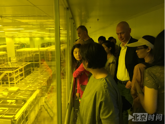 丝路大V参观京东方 惊叹最新屏幕显示技术太