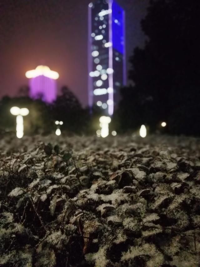 武汉下雪了!为何众人皆爱雪?