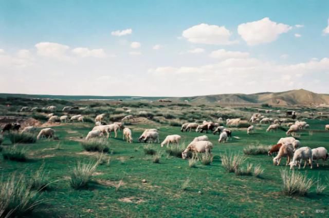 新版《爸爸去哪儿》来了!戚薇朱茵女儿将在这