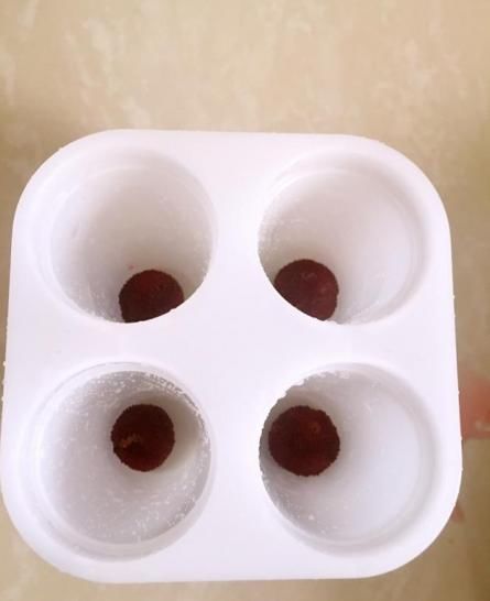 杨梅别直接吃,教你一种新吃法,做法简单又好吃