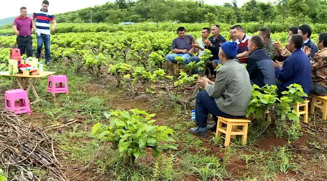 首届中国全媒体公益年会：保山故事1