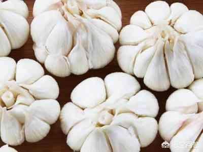 目前的大蒜大概在什么价格?现在收蒜入库可以