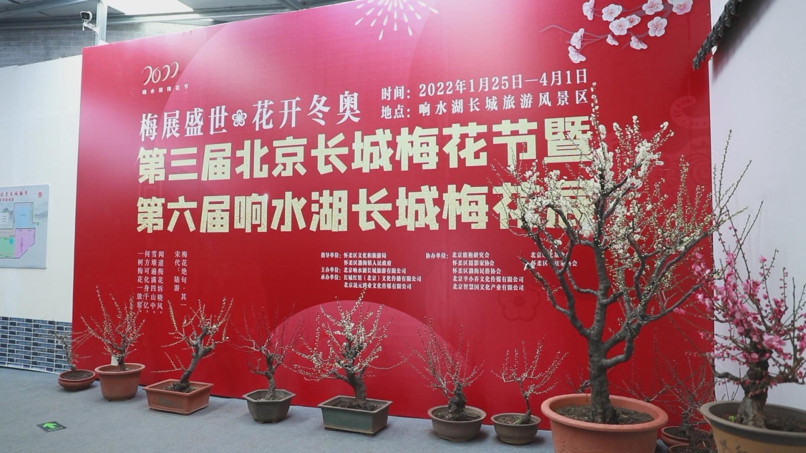 为主题的第三届北京长城梅花节暨第六届响水湖长城梅花展日前拉开帷幕