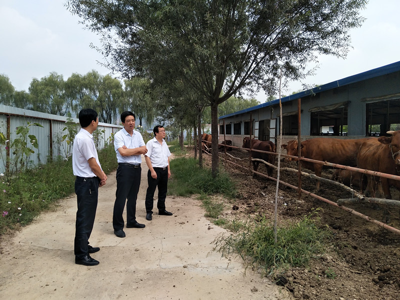 泾川:王德全督查汭丰镇落实九大冲刺行动和产