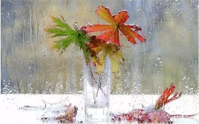 体湿与体寒的区别在哪?附祛除寒湿方法