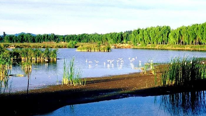 乐不可支游顺义丨汉石桥湿地