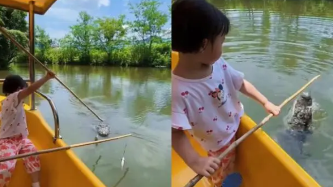动物园推出钓鳄鱼项目?网友直呼太危险!园方:不允许,已开展排查 动物园推出钓鳄鱼项目?网友直呼太危险!园方:不允许,已开展排查