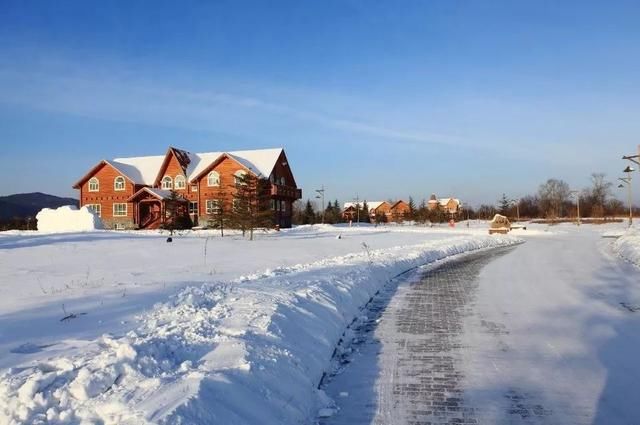 寻美东北|去黑龙江北极村看极光,体会那份最北