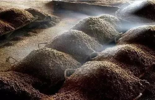 世界最好的酱香酒产地茅台镇7.5平方公里!