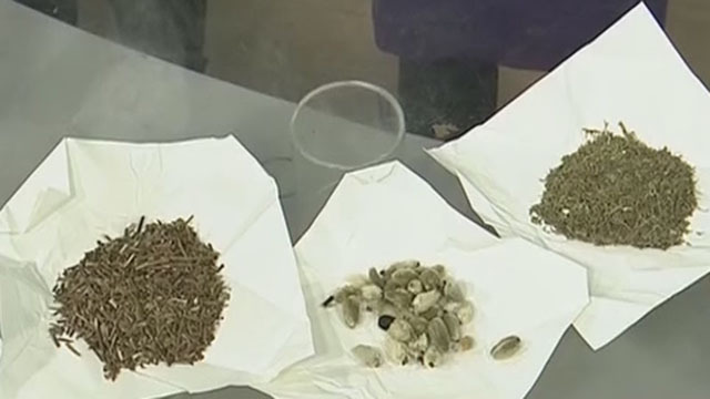 《生活这一刻》20171024秋冬鼻炎有妙招 《生活这一刻》20171024秋冬鼻炎有妙招