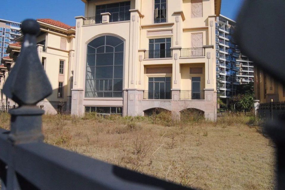 五年了,东莞这个豪华江景别墅群变得茅草丛生,可转商办?