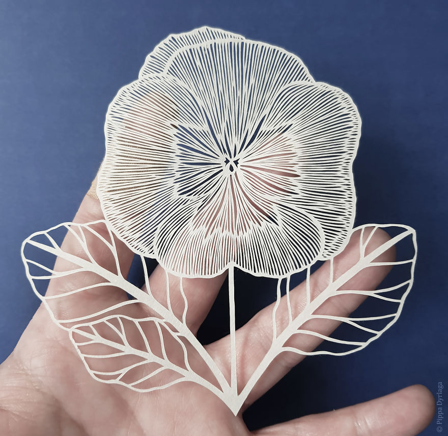 用纸剪出精美的花朵