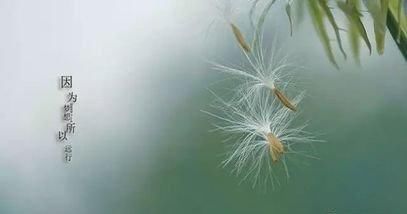 勉强上了二本的农村大学生该何去何从?一般有