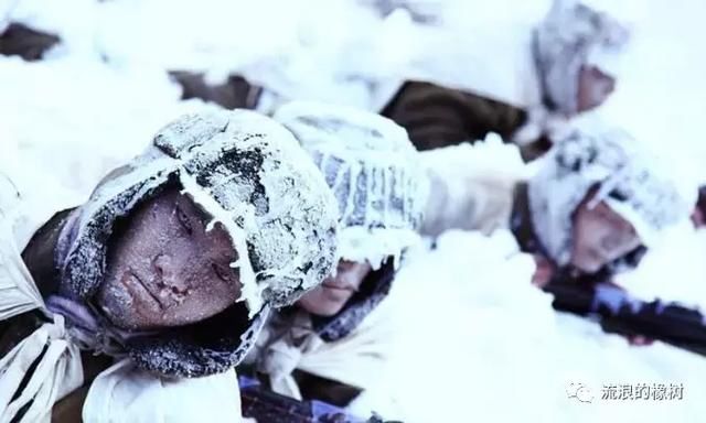 长津湖战役美军准备突围,第26军2个师在哪里?