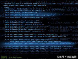 码说(1):代码的本质是什么