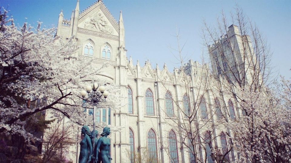 韩国留学跨专业申请本科插班难度大吗?