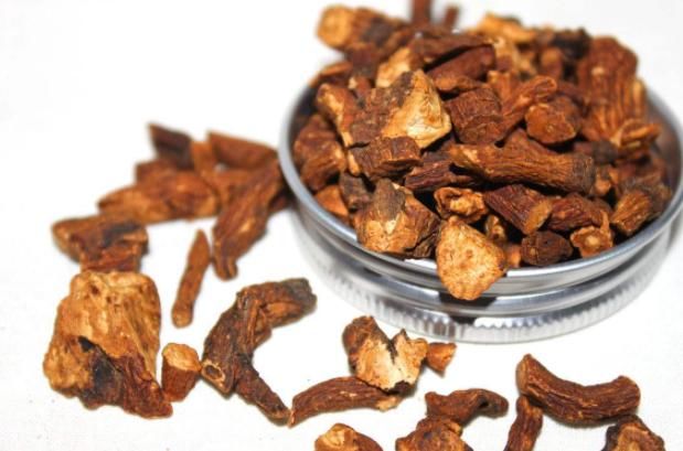 蒲公英泡水有哪些好处,蒲公英叶茶和蒲公英根