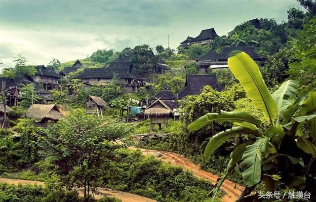 西双版纳雨季来临,来看看当地人都吃什么虫子