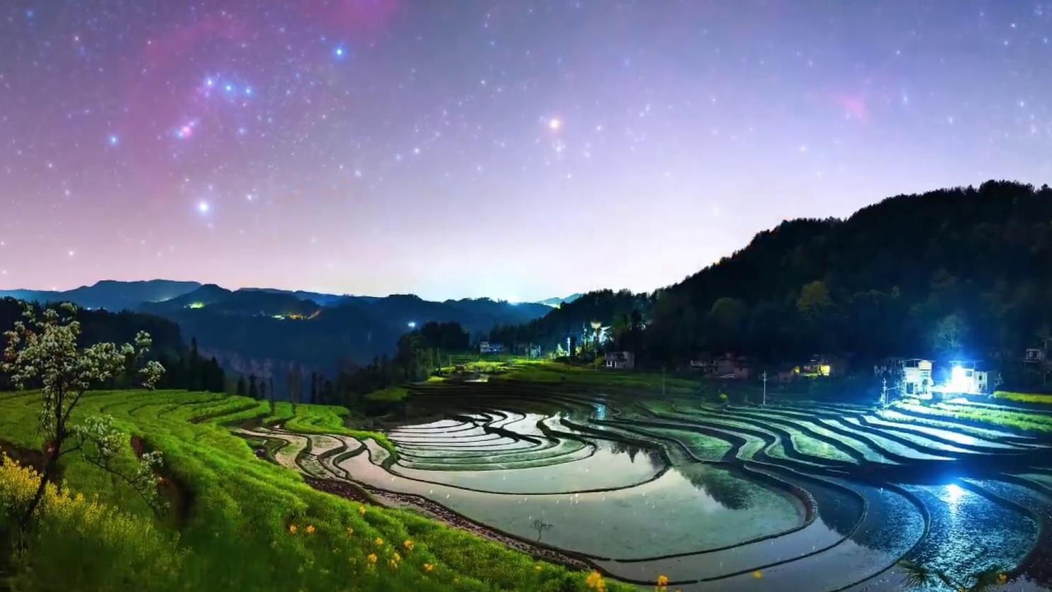 当星空遇到花海,是怎样一幅唯美的景象? 当星空遇到花海,是怎样一幅唯美的景象?