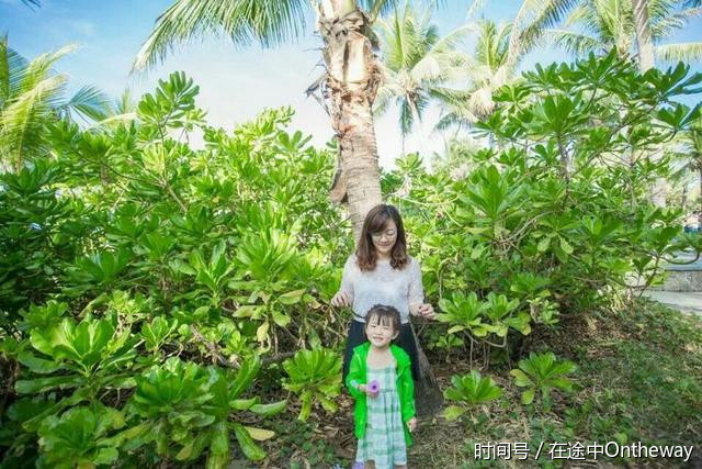 北纬18度的湿和远方的爱,带父母的三亚之旅。