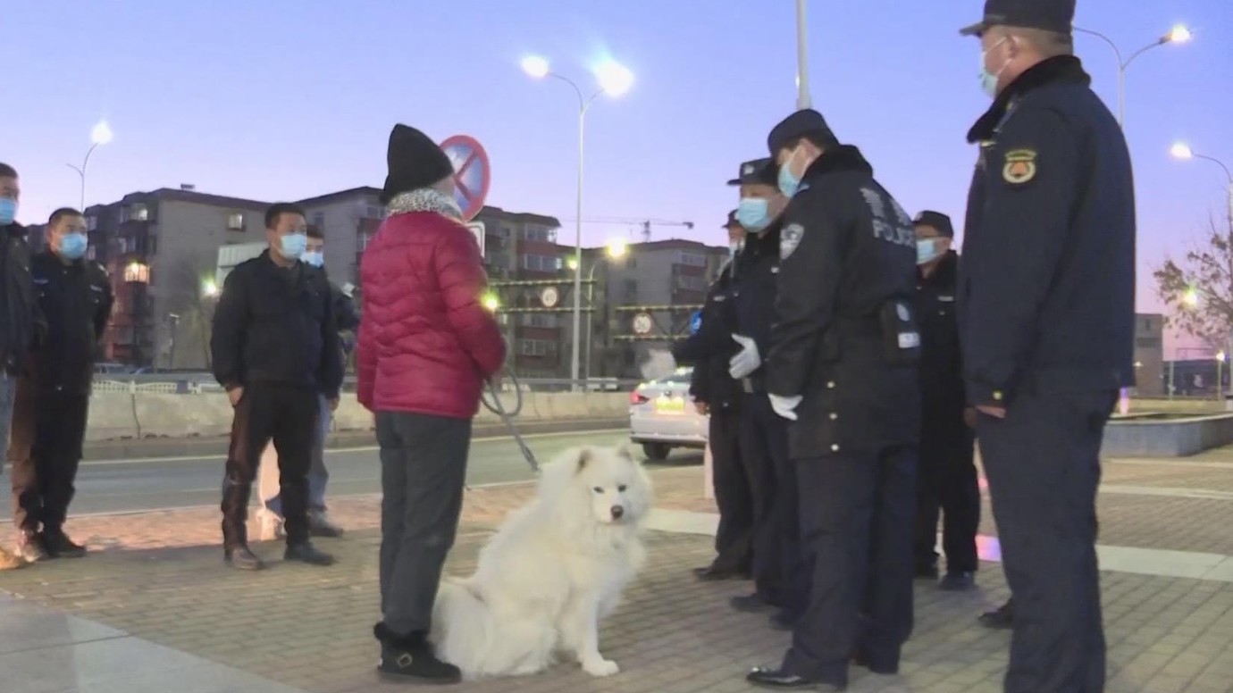 大兴区启动全天候文明养犬宣传执法行动 大兴区启动全天候文明养犬宣传执法行动