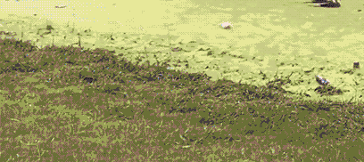 你知道吗?你买房时,外墙的投影也要按面积算钱