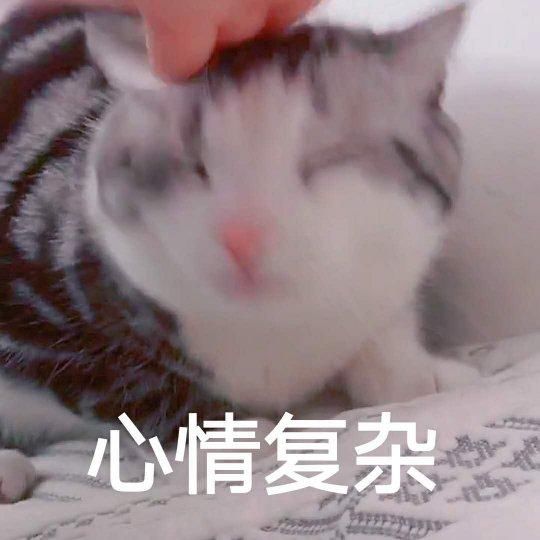 OMG战队lionKK和外国选手开直播,爆肝吃鸡