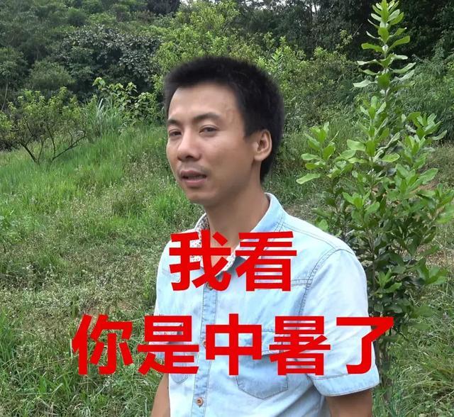 华农兄弟:衣服印着西瓜视频,却在B站月涨百万