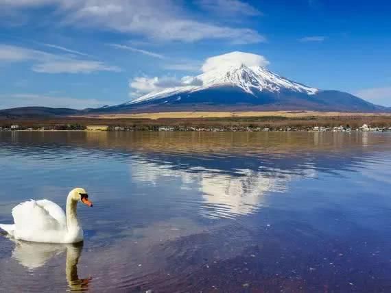 带爸妈出游,该选择参团还是自由行?咱爸咱妈