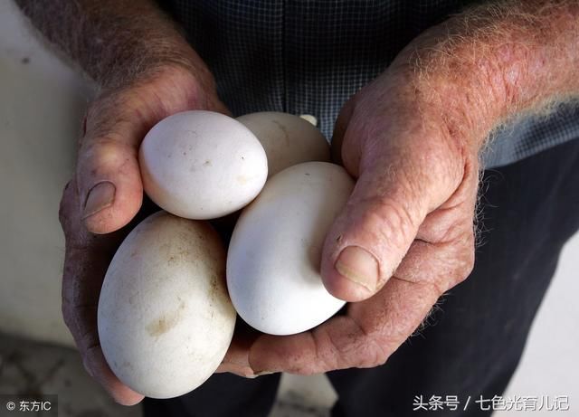 怀孕后吃这些食物,宝宝聪明健康,还能预防黄疸